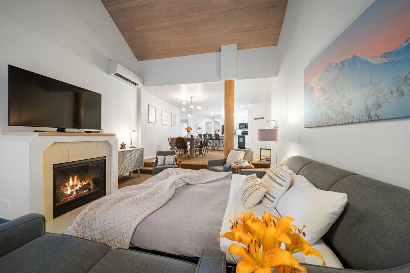 TV, fireplace, table tennis, stereo