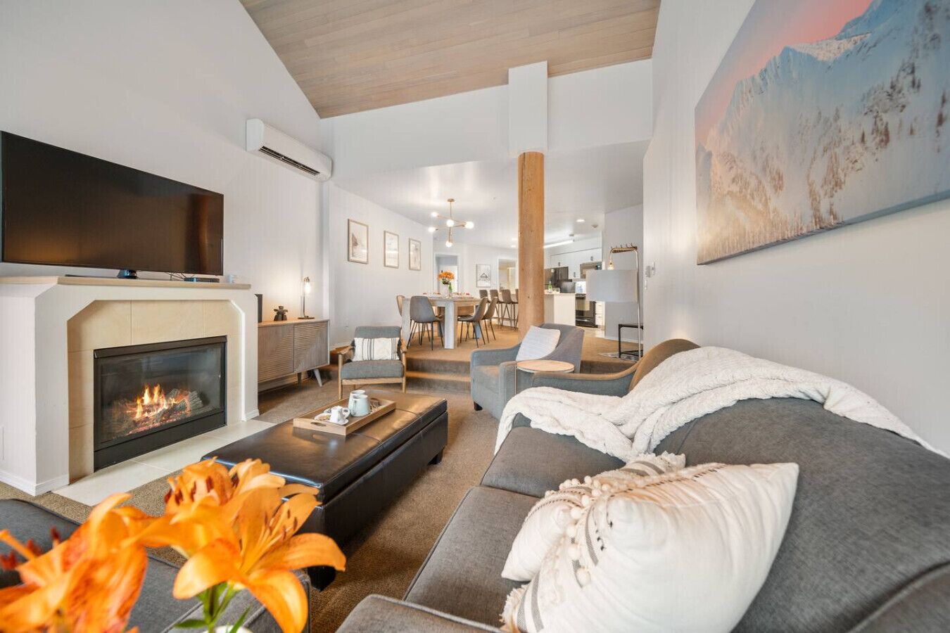TV, fireplace, table tennis, stereo