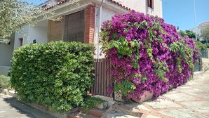 Ein Haus mit Satellitenschüssel, einem Backsteinsschornstein und einem großen Busch mit violetten Blüten.