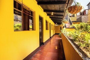 A corridor with yellow walls, tiled flooring, and hanging plants.