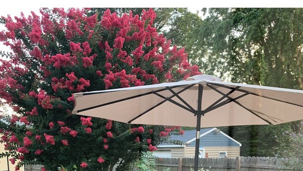 Eine Holzterrasse mit Tisch und Stühlen, einem großen Sonnenschirm und einem blühenden Baum.