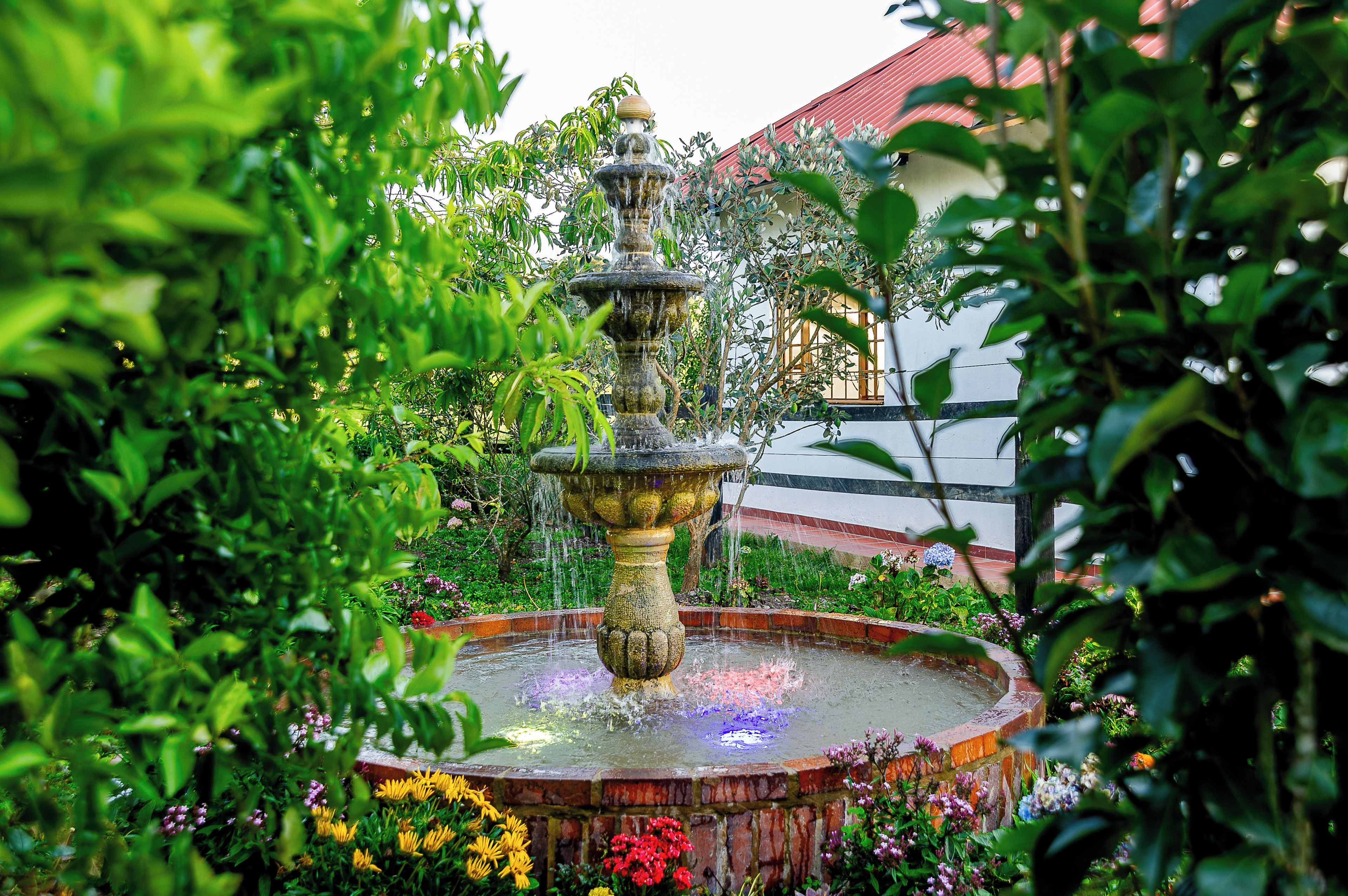 A garden with a central fountain surrounded by lush greenery and flowering plants.