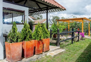 Une maison avec un porche abrité, des plantes en pot et un jardin.