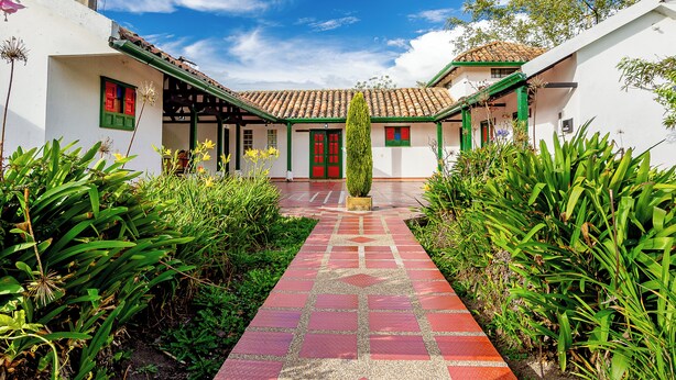 A courtyard with a tiled walkway, green plants, and a central tree.