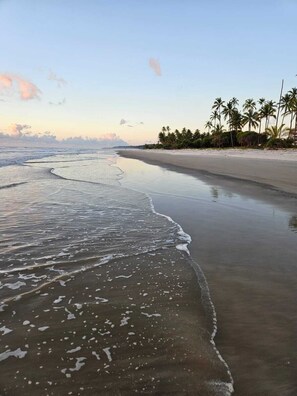 A beach with gentle waves, a sandy shore, and a line of palm trees. - Beachfront apartment in Ilhéus - Vog Marine - Oceanfront pools - Ideal for families (Ilhéus)