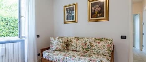 TV, fireplace, table tennis