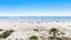 Ein Strand mit blauem Himmel, sandigem Ufer und spärlicher Vegetation.