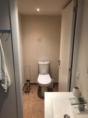 Ein kleines, schmales Badezimmer mit Toilette, einem Waschbecken aus Glas und einem Handtuchhalter.