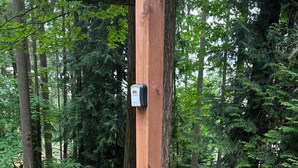 Ein hölzerner Pfosten mit angebrachtem Gerät, umgeben von bewaldeter Landschaft mit Mulch und Grünpflanzen.