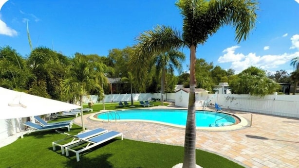 A backyard with a swimming pool, palm trees, and lounge chairs. - Bright Coastal Stay • Pool • Near Beaches #3 (Clearwater)