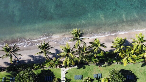 An aerial view of a beach with palm trees and a clear ocean. - Holo Hou Hale - Lahaina Shores Retreat on Front St (Lahaina)