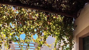 Una strada fiancheggiata da edifici, cielo sereno e ombre sul marciapiede.