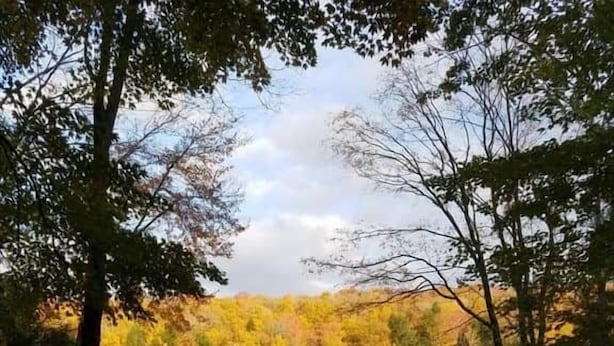 A lakeside cabin with a dock, a small shed, and a deck area. - Fun 5 Bedroom Lakefront Cottage (Bethel)