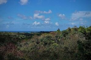 House, 1 Bedroom, Private Pool | Exterior - Unique Tiny Home · Pool · Mountain Views · Aguada (Aguada)