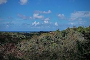 Een landschap met weelderige begroeiing en een heldere lucht.