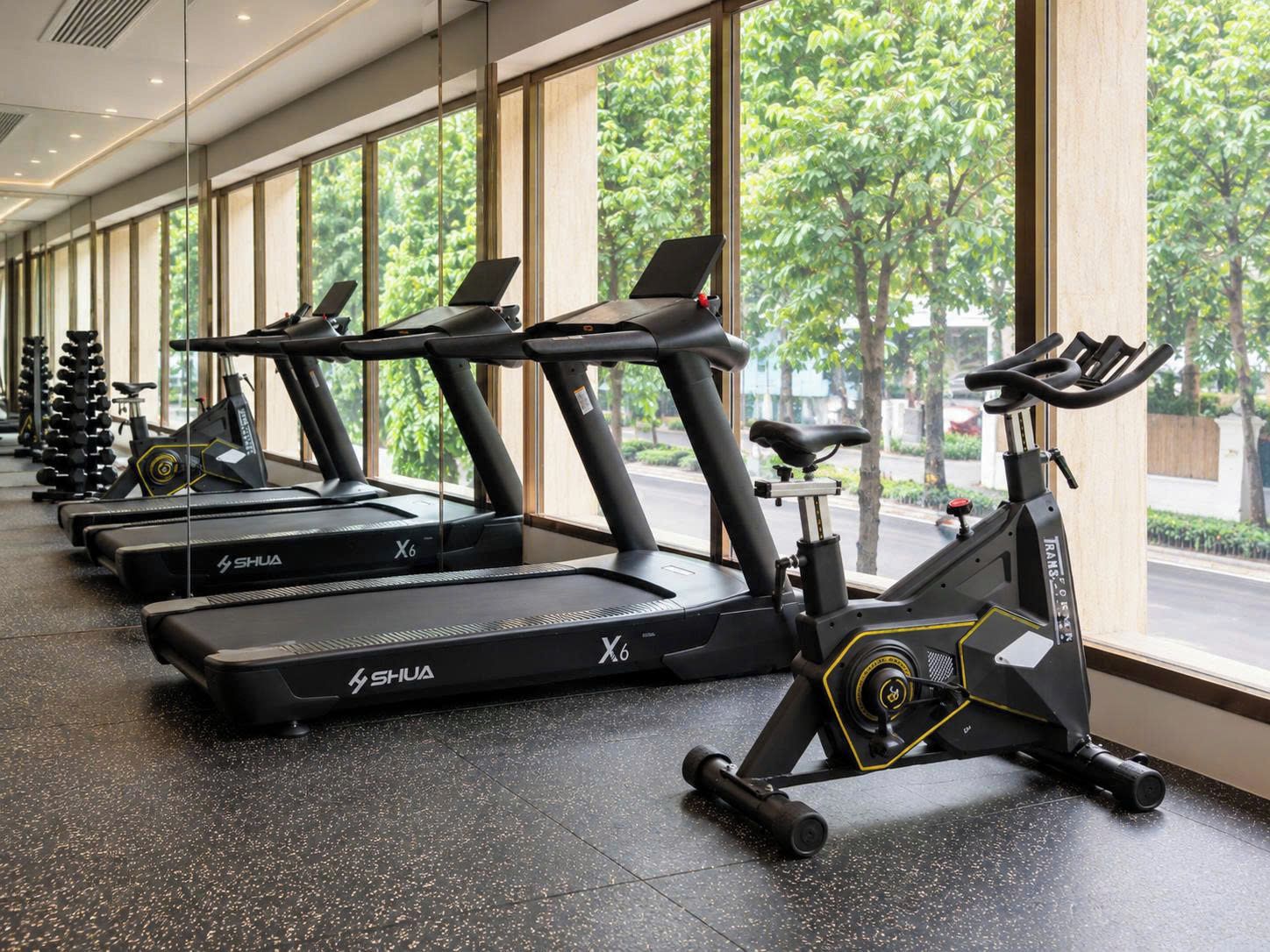 Une rangée de vélos d’appartement et de tapis de course dans une salle de sport dotée de grandes fenêtres et offrant une vue sur les arbres.