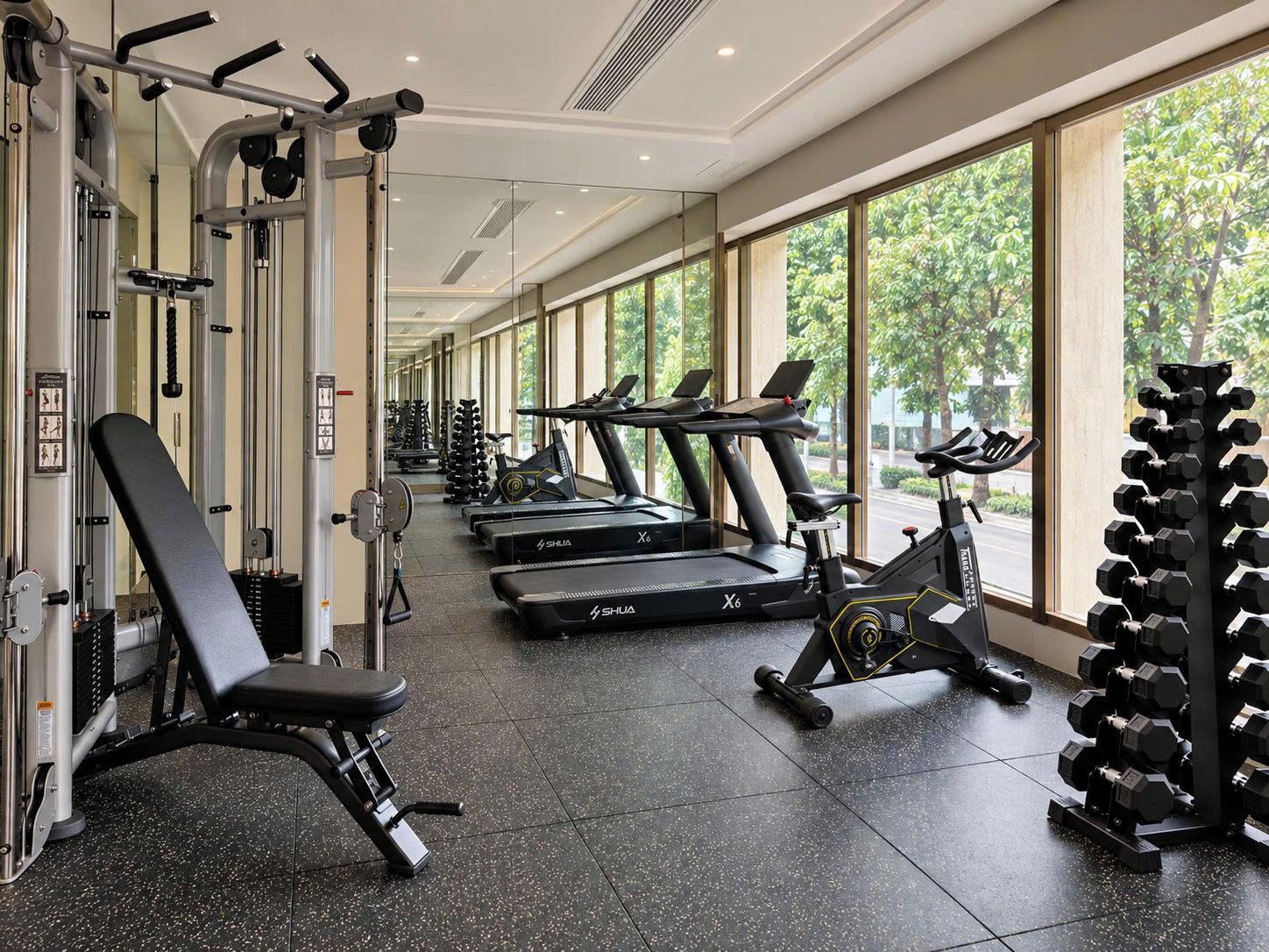 A gym with treadmills, a bench press, and dumbbells.