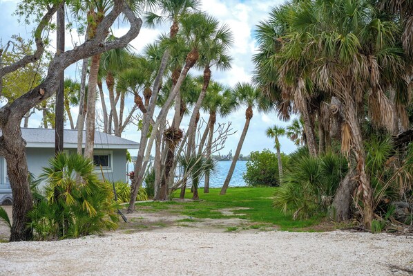 A pathway leading to a building surrounded by palm trees and a view of the water.
