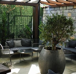 Terras