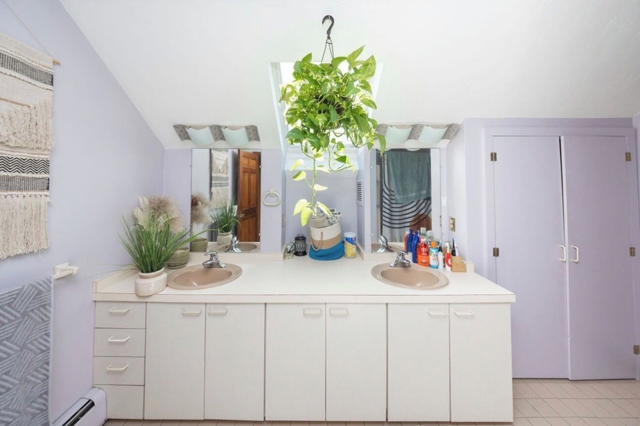 Une salle de bain moderne avec un double vasque, une plante suspendue et un miroir.