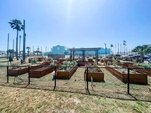 Jardines del alojamiento