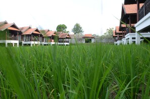 Deluxe Villa | Unterkunftsgelände