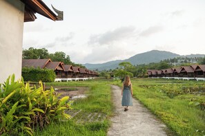 Property grounds - Farmers Villa (Koh Samui)