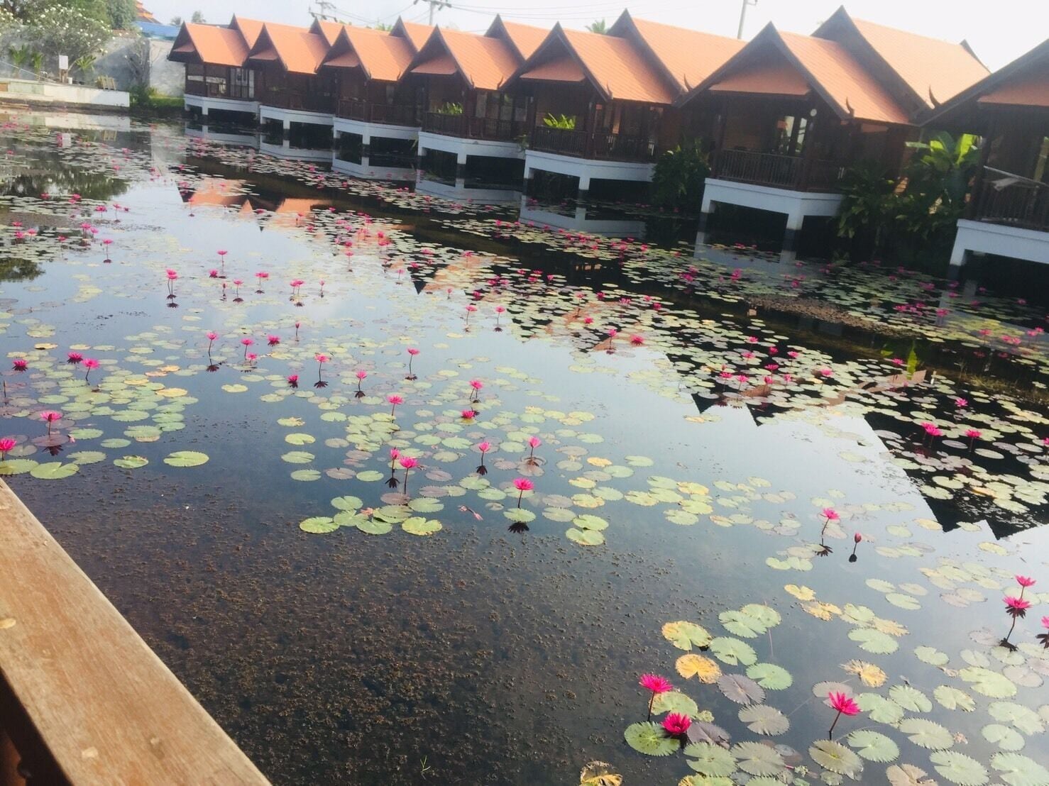 Khuôn viên nơi lưu trú