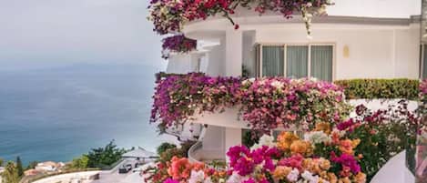 Suite familiar, 2 habitaciones, vista al océano | Áreas de la propiedad