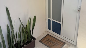 Eine Tür mit Milchglasfenstern, ein Blumentopf mit lang gestreiften Blättern und eine Fußmatte.