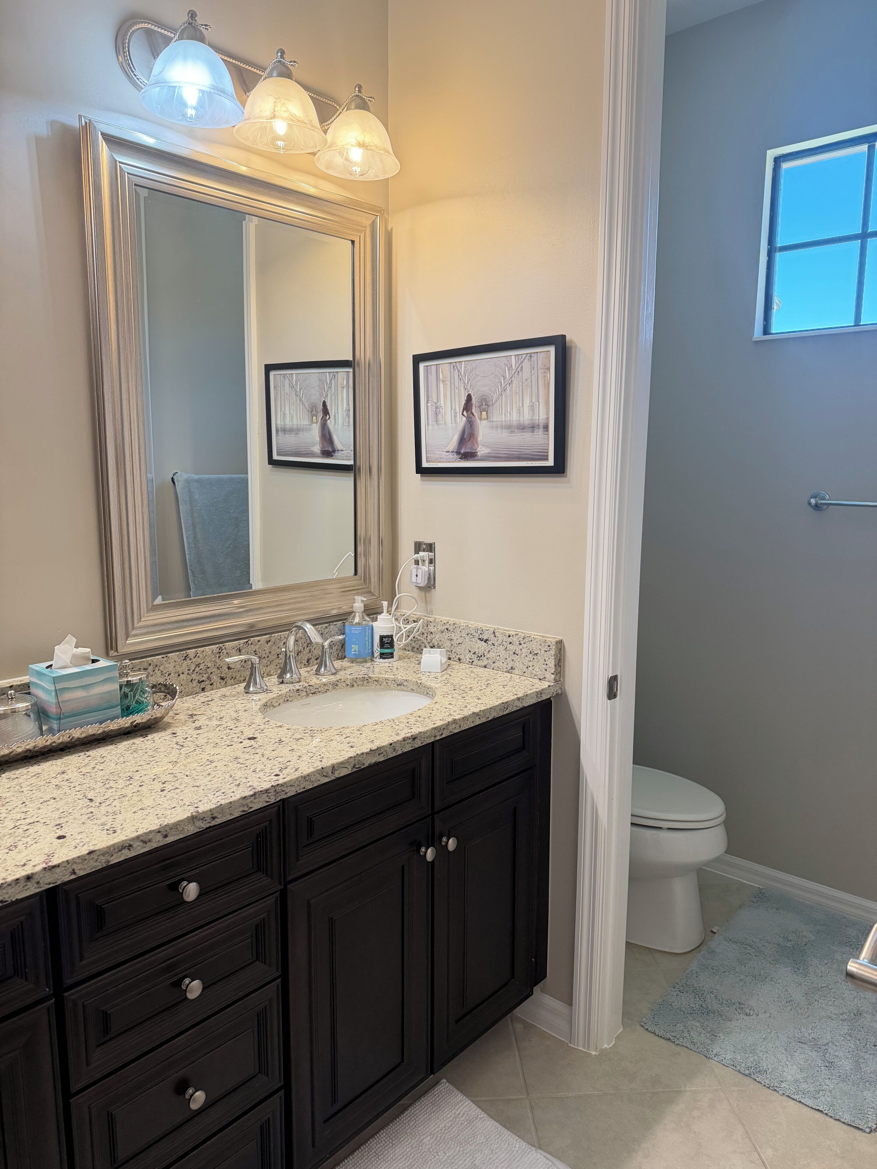A bathroom with a granite countertop, dark cabinetry, a large mirror, a framed picture, and a toilet.