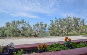 A paved pathway with trees and a clear sky.