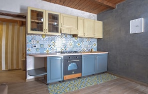 Fridge, stovetop, cookware/dishes/utensils
