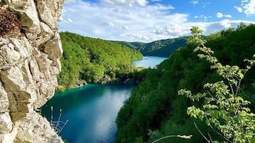منوع