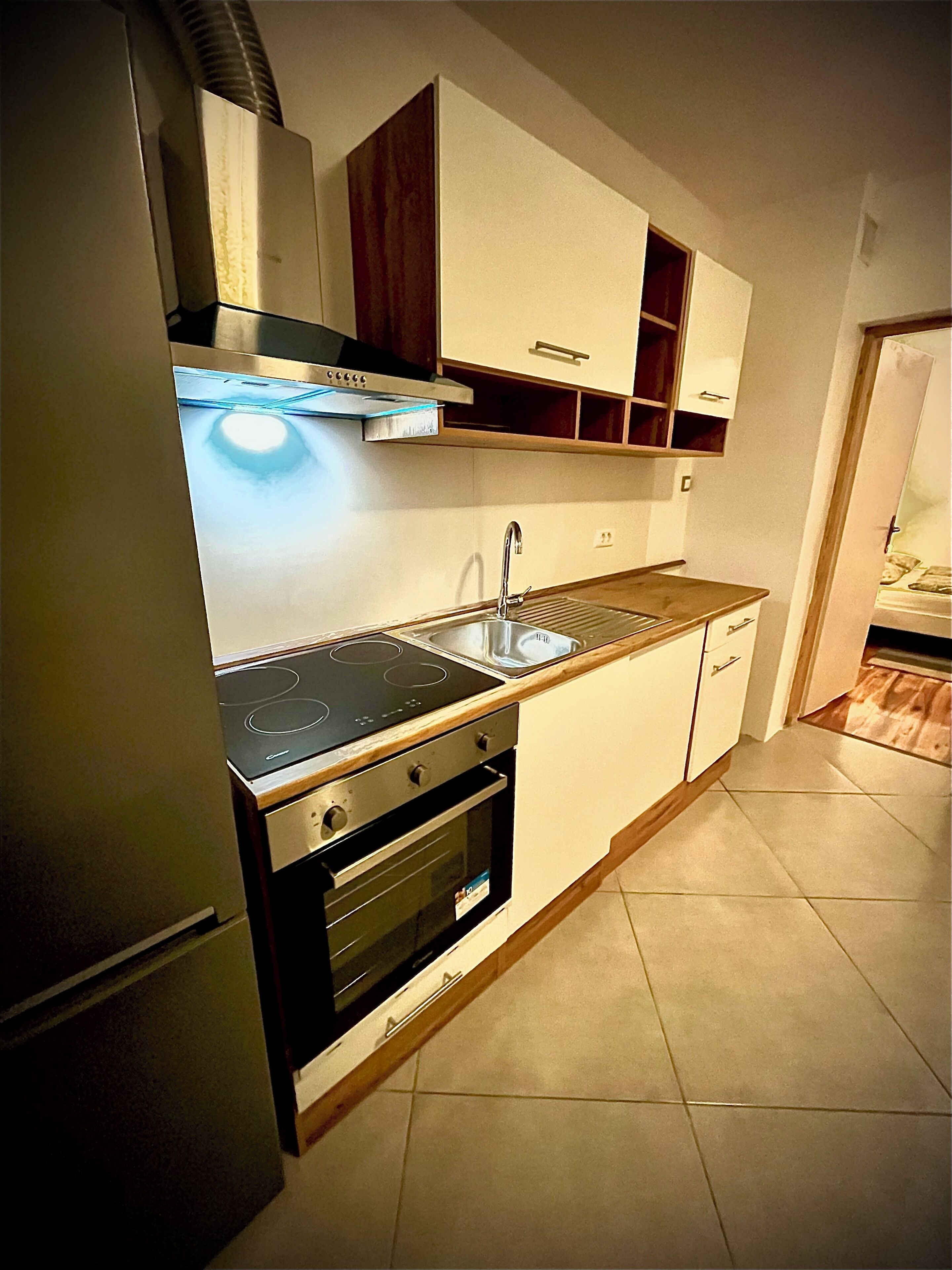 Apartament clàssic, balcó, vistes al jardí | Cuina privada | Congelador 