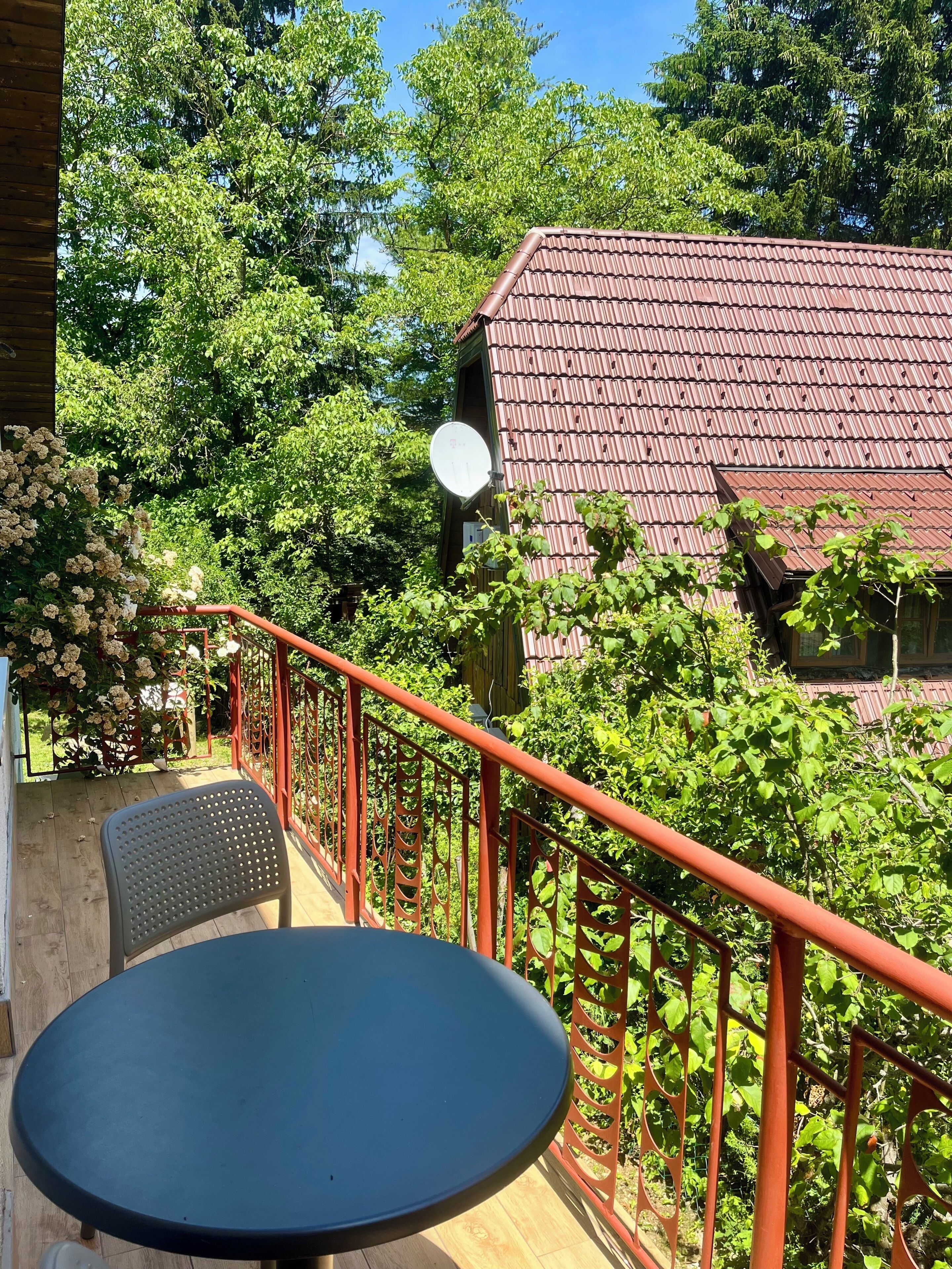 Apartament clàssic, balcó, vistes al jardí | Terrassa o pati