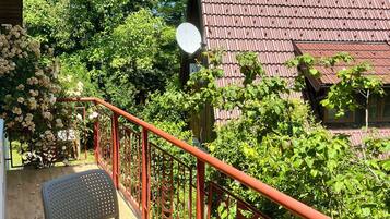 Apartament clàssic, balcó, vistes al jardí | Terrassa o pati