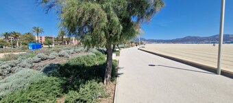 APARTMENT BADIA 24