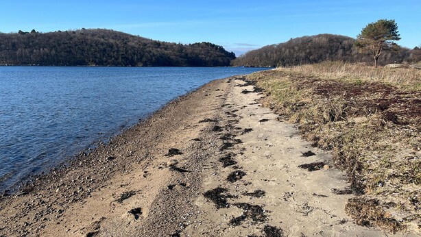 Een pad langs de rivier met kiezelstenen en wier, omgeven door heuvels en bomen.