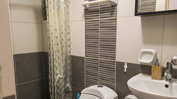 Hair dryer, towels, soap, toilet paper