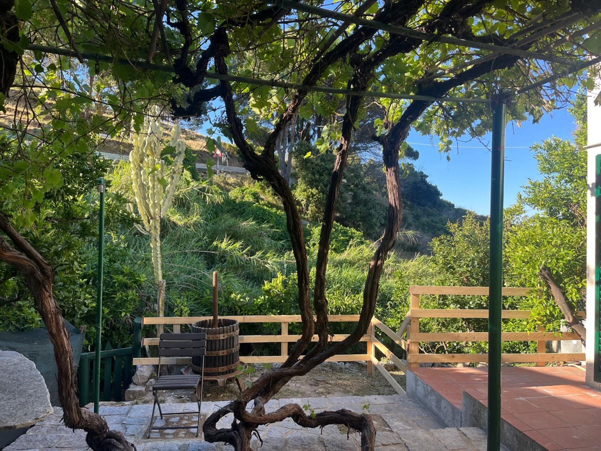 Terrace/patio