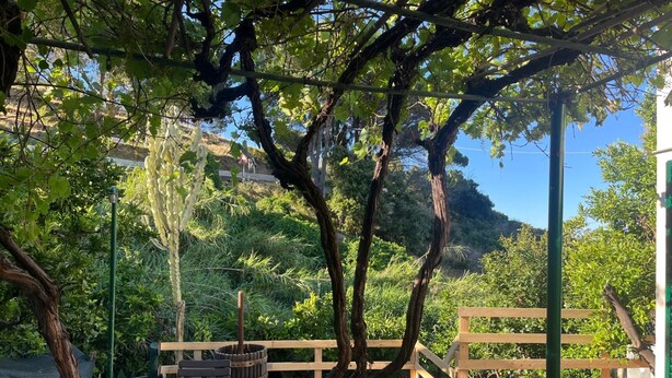 Un'area esterna rustica con una panchina in legno, un cestino in metallo e un sentiero in pietra.