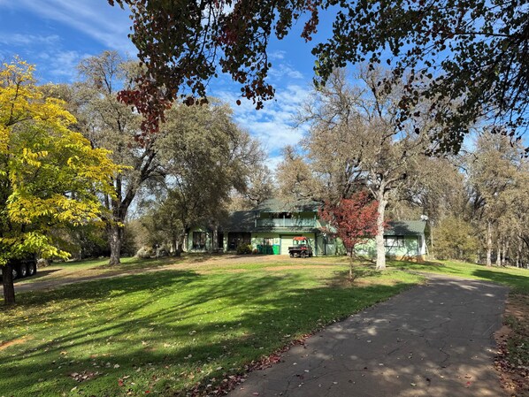 Une maison verte avec un porche, entourée d’arbres et d’une cour gazonnée.
