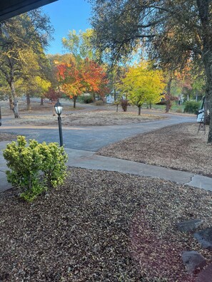 Ein Park mit Bäumen in Herbstfarben, einem gepflasterten Weg und einem kleinen grünen Busch.