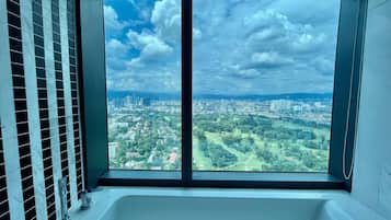 City view from property