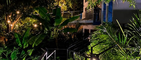 A staircase surrounded by lush greenery, leading to a building with a blue exterior.