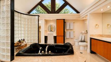 Shower, jetted tub, hair dryer, bidet