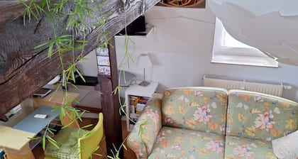 bright charming flat in a historical residential area- close to the city center