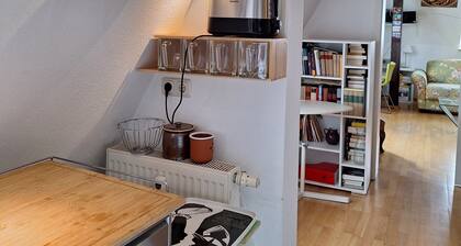 bright charming flat in a historical residential area- close to the city center