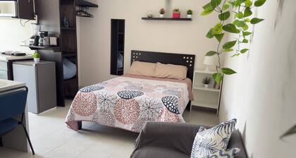 Stay in a good location in Puebla: Accessible and very well connected.